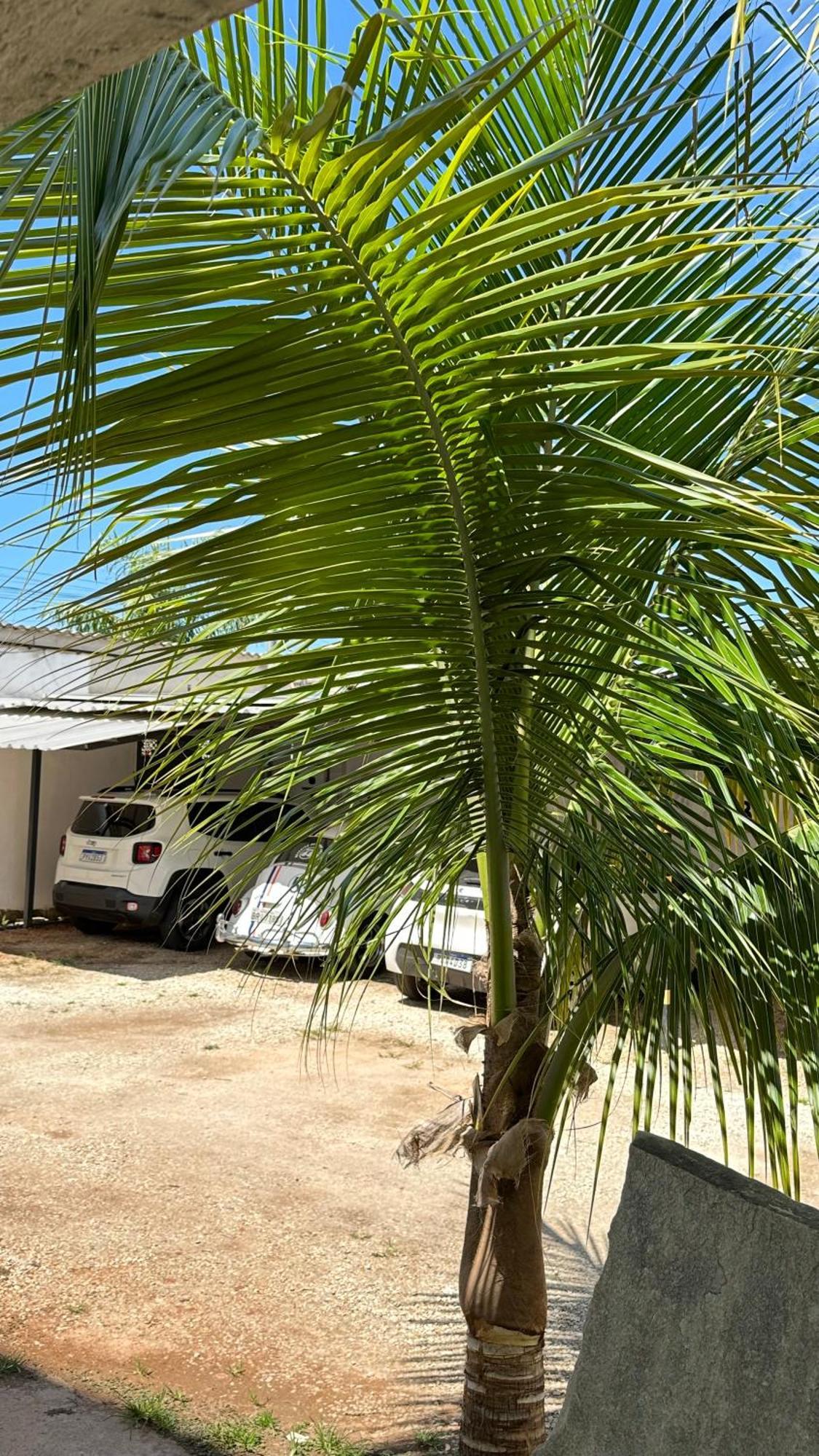Pousada Caminho Das Cachoeiras Pirenópolis Eksteriør bilde